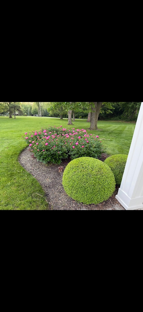 Residential Lawn